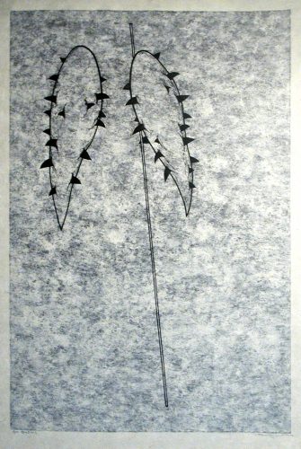 FUDEZUKA Toshihisa | Tolman Collection of Tokyo