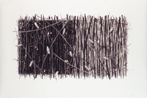 NAGAI Kenji | Tolman Collection of Tokyo